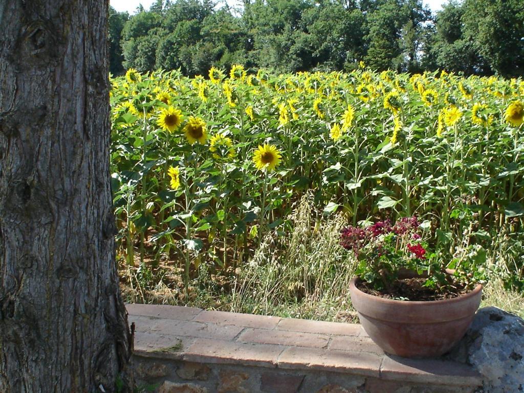 Casale Il Colombaio Di Toiano Guest House Valli Bilik gambar