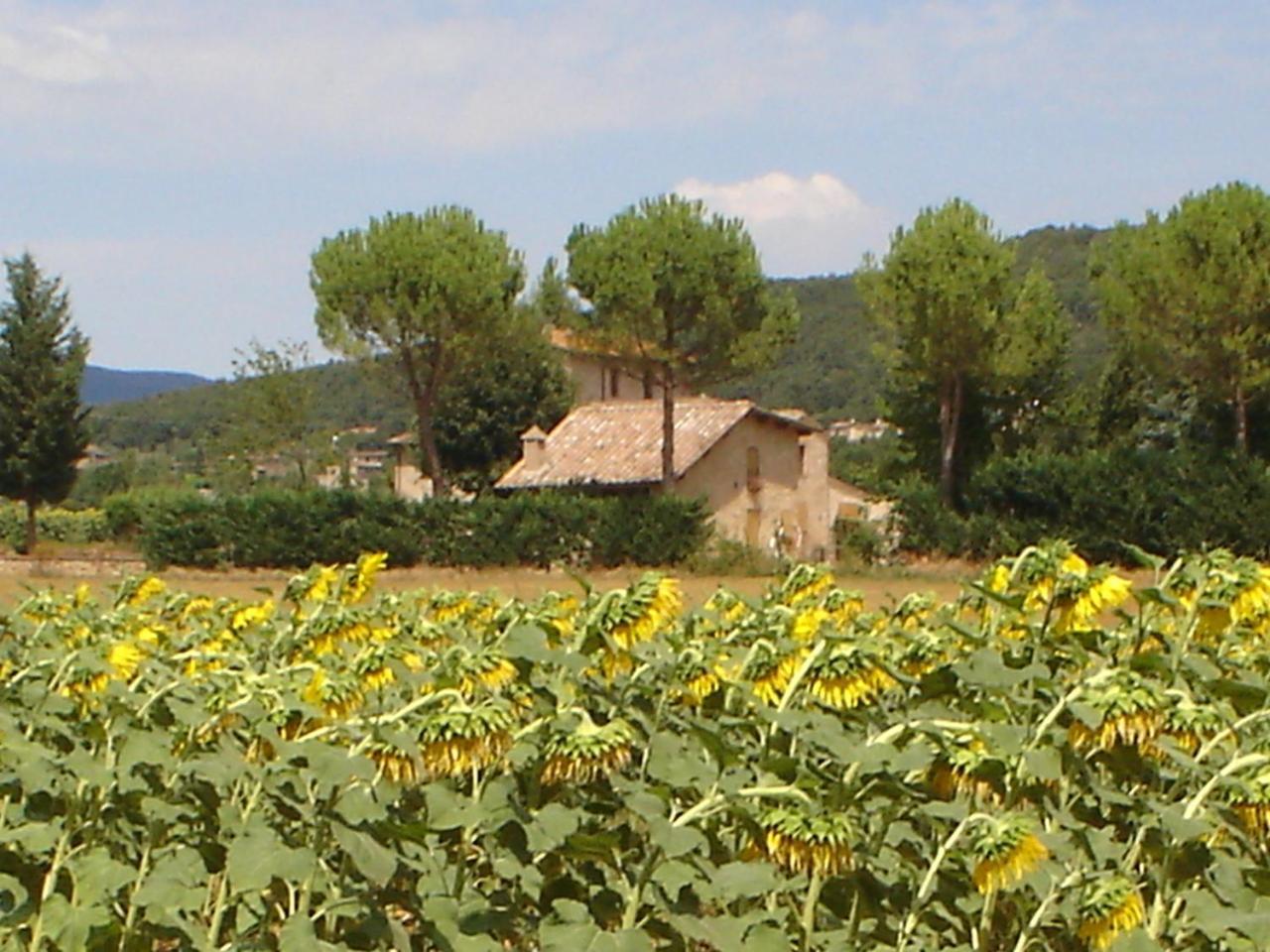 Casale Il Colombaio Di Toiano Guest House Valli Luaran gambar