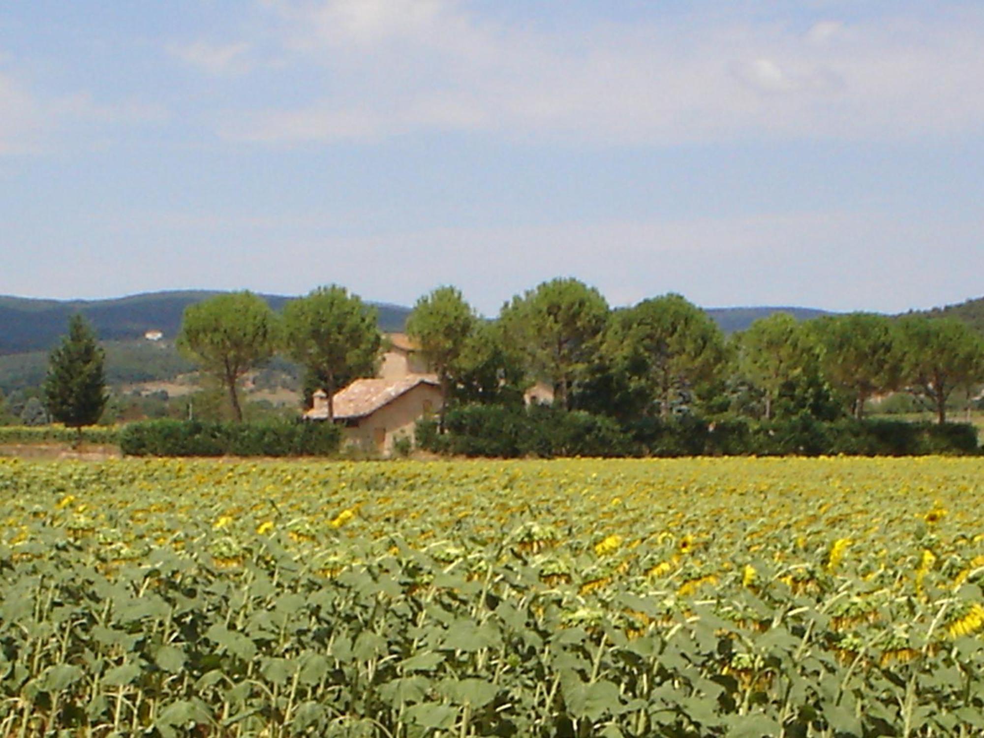 Casale Il Colombaio Di Toiano Guest House Valli Luaran gambar