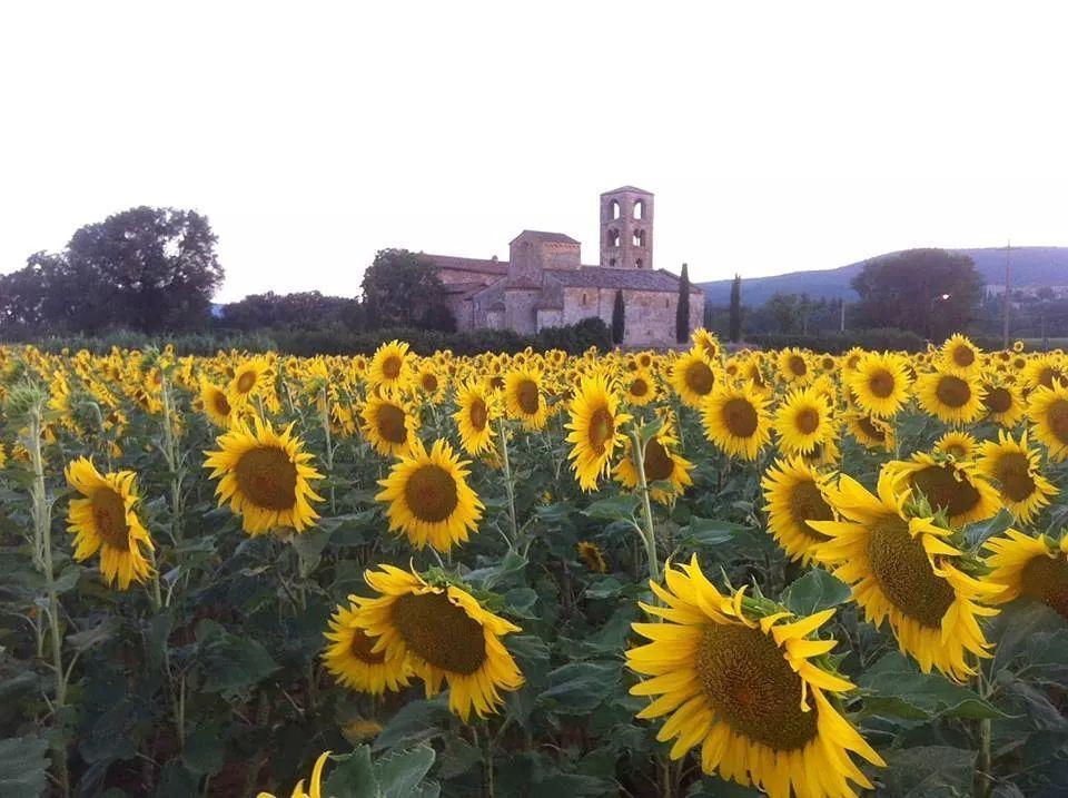 Casale Il Colombaio Di Toiano Guest House Valli Luaran gambar
